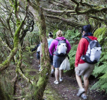 José Antonio Murga Baptista: [Tenerife Extrema] Deporte, Tecnología y Naturaleza.