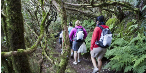José Antonio Murga Baptista: [Tenerife Extrema] Deporte, Tecnología y Naturaleza.