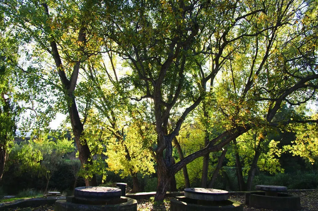 Ruta del azud. Cortesía del Ayuntamiento de Tuéjar.