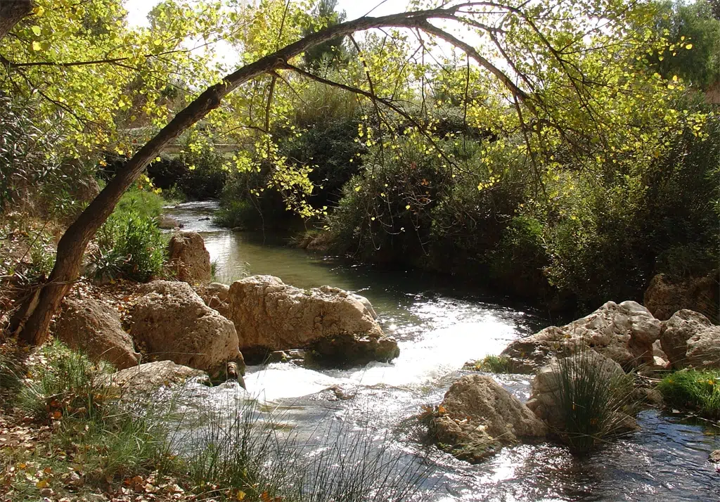 Fuente del Saz. Cortesía del ayuntamiento de Tuéjar.