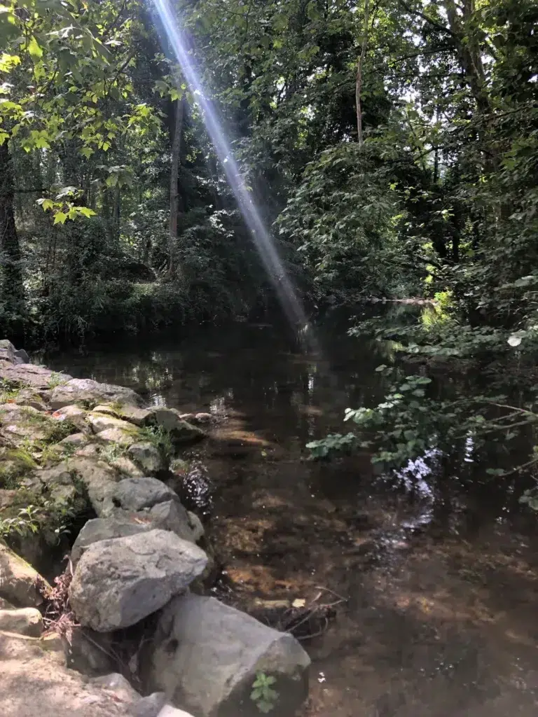 Gorg d'en Boix, en Sant Feliu de Pallerols (Girona).