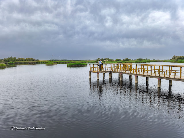 Las Tablas de Daimiel - Daimiel, por El Guisante Verde Project