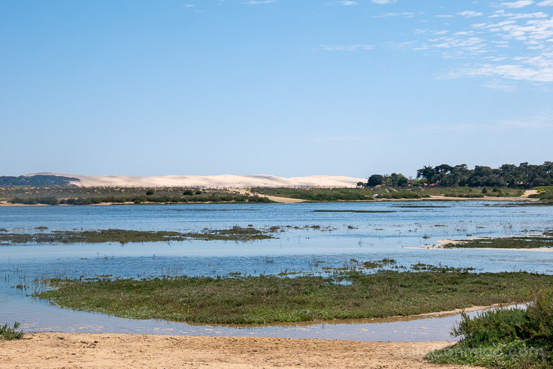 Que Ver en la Bahia de Arcachon Cap Ferret Conche du Mimbeau