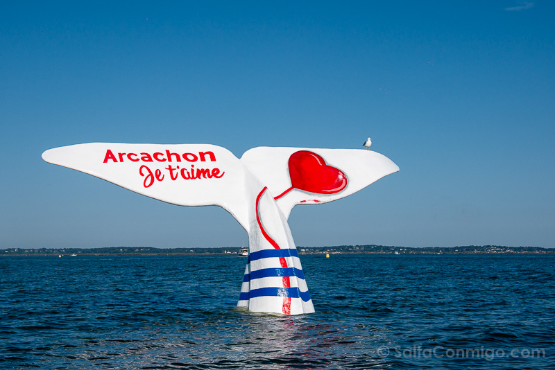 Barco en la Bahia de Arcachon Cola Ballena