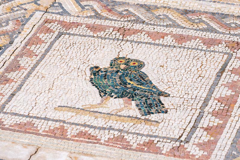 Ruinas Italica Sevilla Casa Pajaros Mosaico Detalle