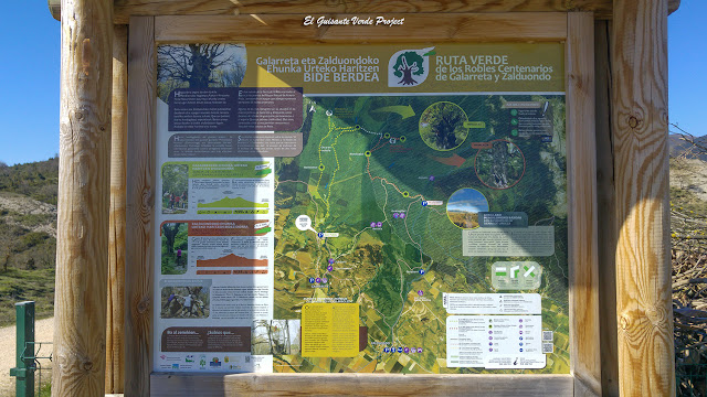 Cartel Ruta Robles Centenarios - Galarreta, por El Guisante Verde Project