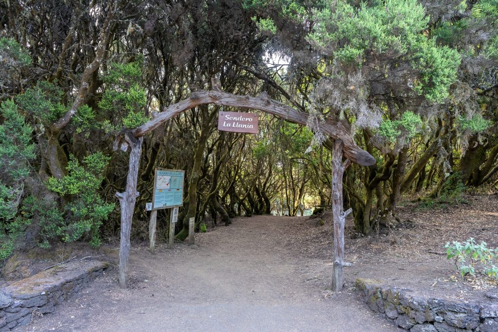 Senderismo - Ruta de senderismo en El Hierro: Sendero la Llanía Sendero la Llanía