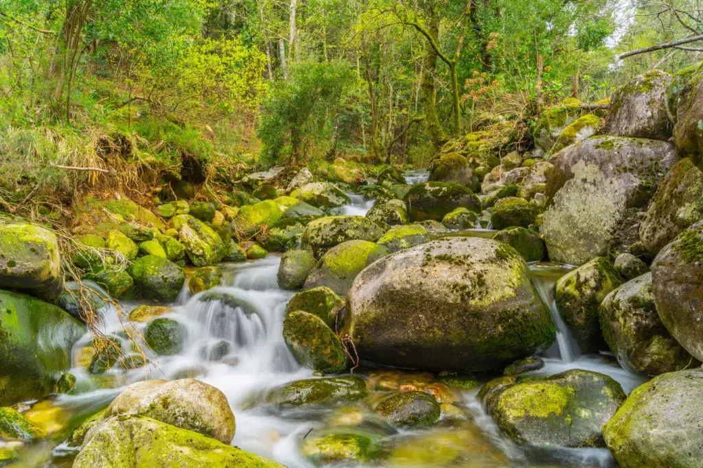 Ruta por el río Pedras en A Pobra do Caramiñal (A Coruña). Por Francisco.