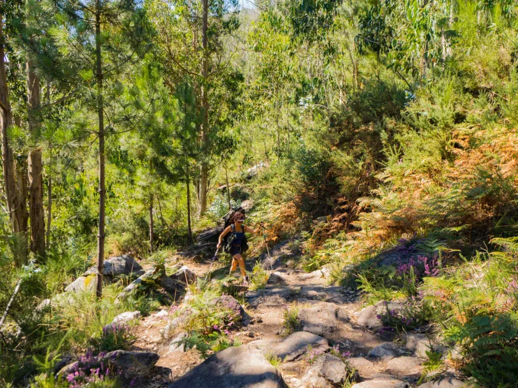 Senderista en la ruta del río Pedras. Por acaballero67.