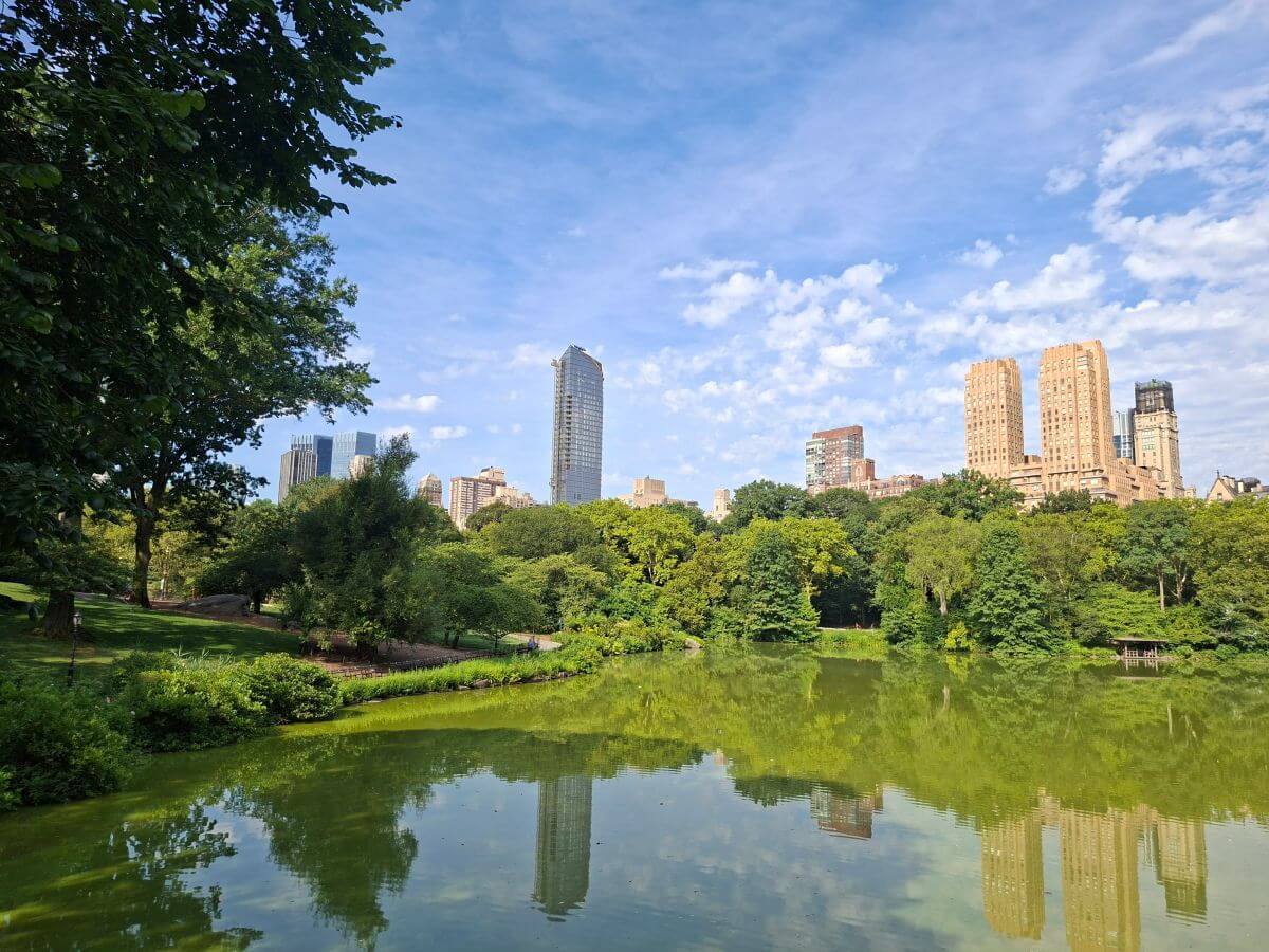 Rascacielos y bosques en Central Park Rascacielos y bosques en Central Park