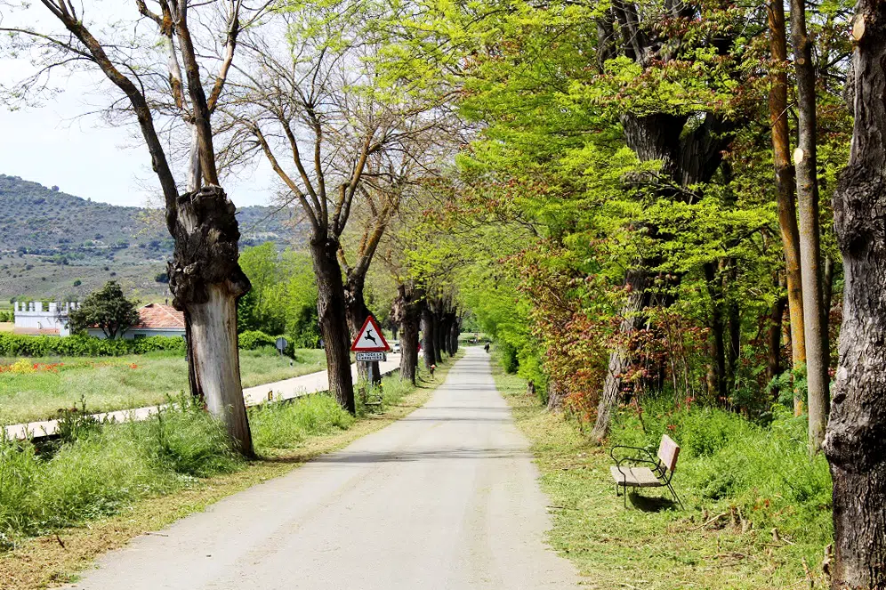 Vía verde del Tajuña, comarca de Las Vegas y Alcarria de Madrid