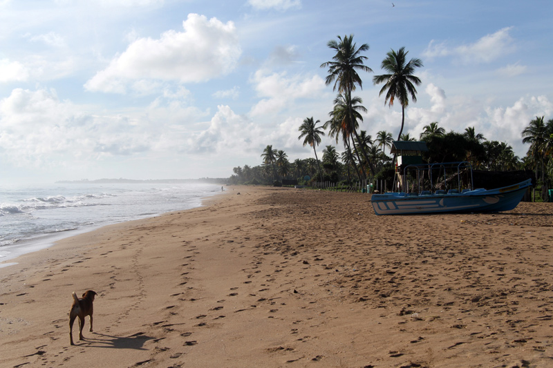 Playa de Nilaveli