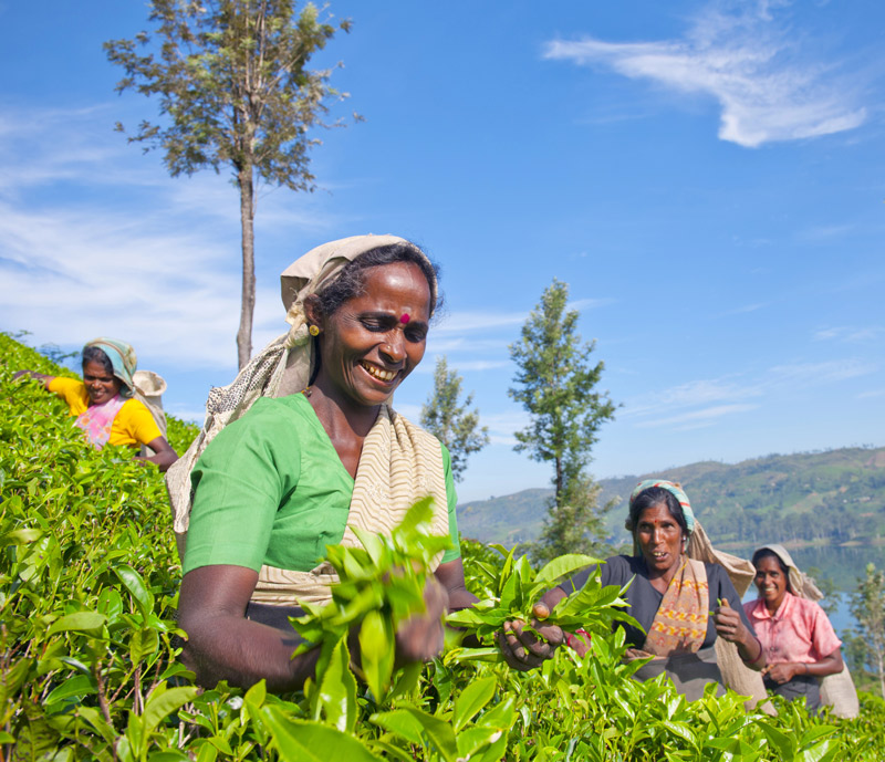 Ruta por Sri Lanka