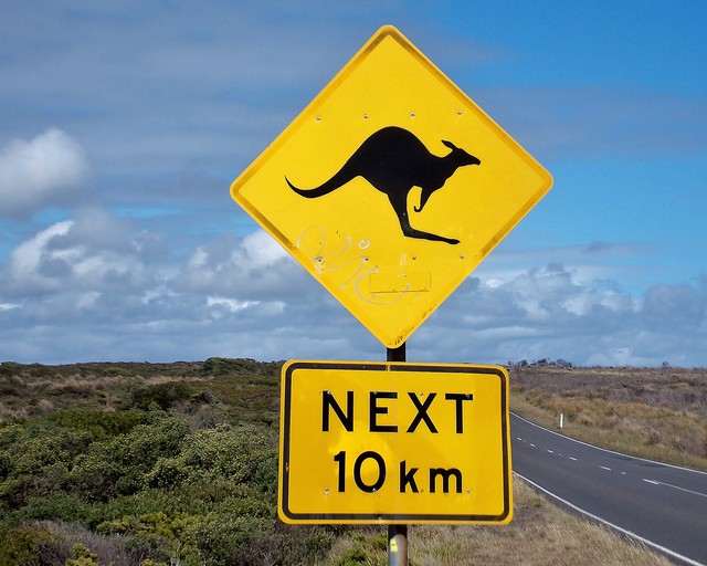 Cartel de carretera que avisa de la presencia de canguros en Australia