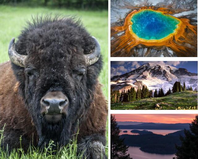 Viaje a Yellowstone y noroeste de Estados Unidos