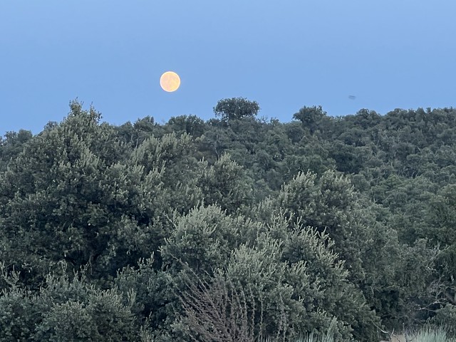 Luna llena en el Monte de El Pardo en Madrid