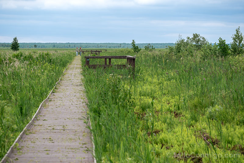 Podlaquia Polonia Parque Nacional Biebrza Dluga Luka