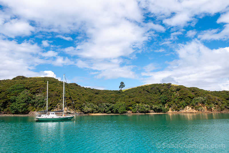 Paihia Bay of Islands Nueva Zelanda Paseo Barco