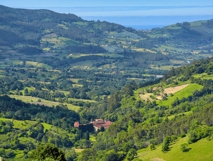 Rústicas de la Comarca