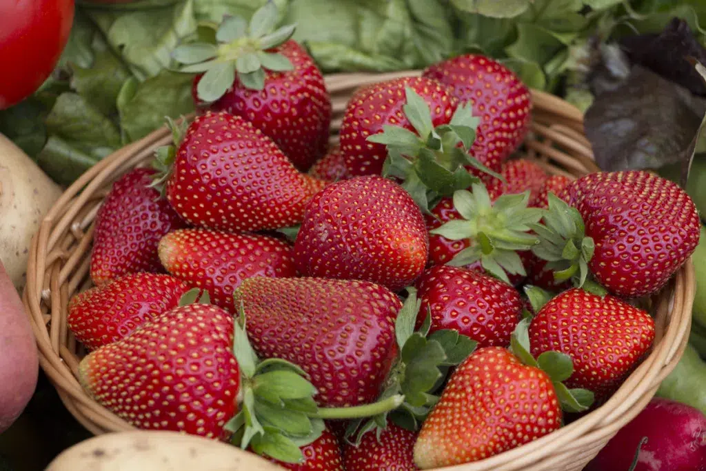Fresas. Gastronomía- Barcelona