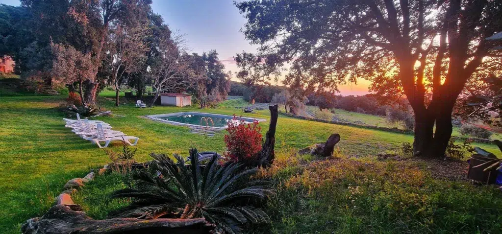 Puesta del sol en un jardín con diferentes árboles y plantas, piscina, hamacas y el mar al fondo