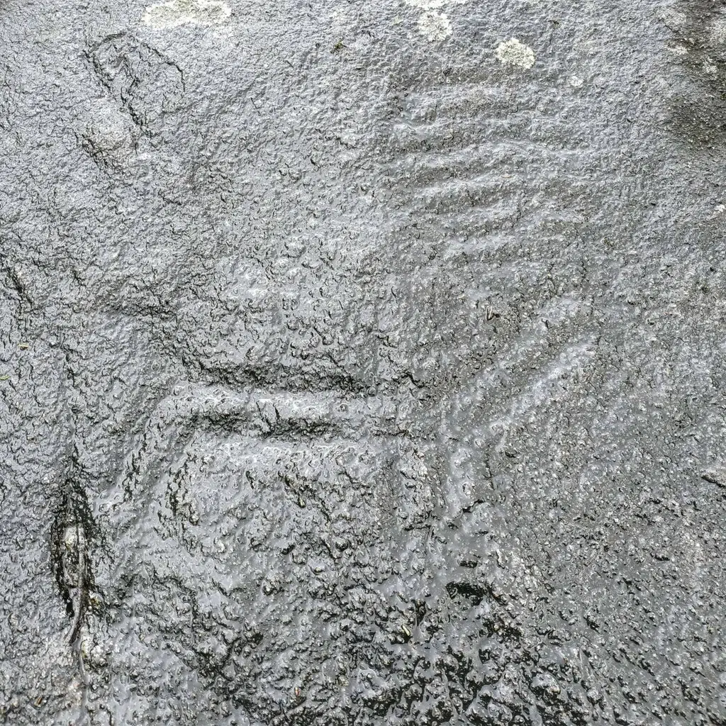 Petroglifo de ciervo con cornamenta, en Portela de Villestro (A Coruña). Autoría: Parque Compostela Rupestre