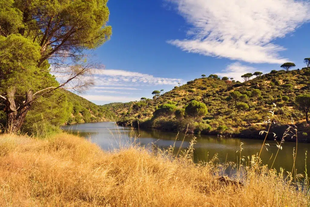 Río Alberche, en Madrid. Por ABUELO RAMIRO.