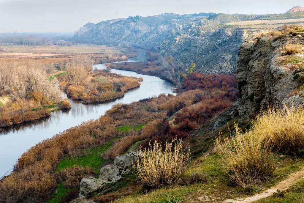Barrancos de Titulcia y rio Jarama. Por ABUELO RAMIRO.
