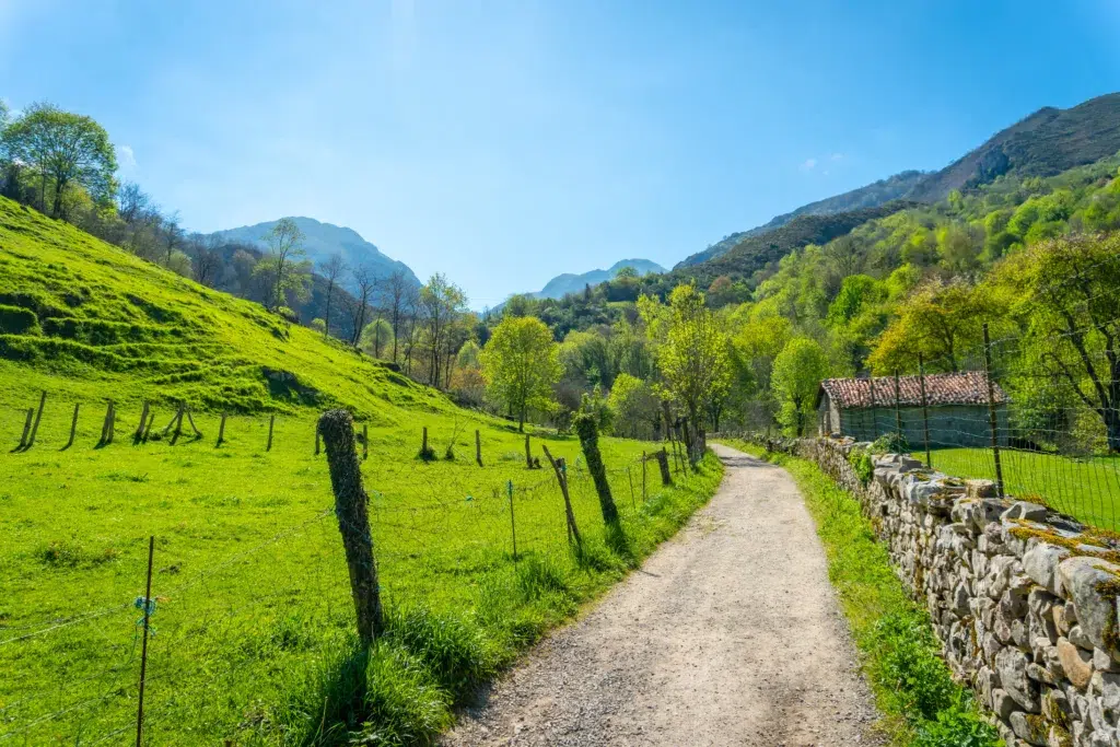 Camino de el Tornín a la Olla de San Vicente, en Cangas de Onís (Asturias)