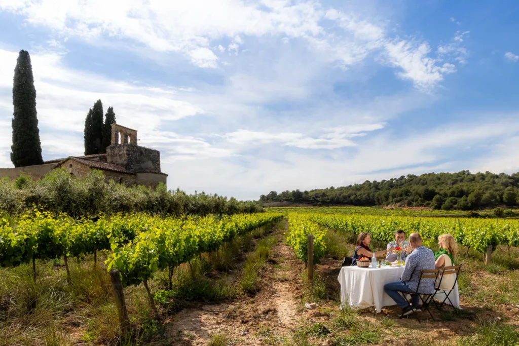 Barcelona. Celler Suamrroca. Enourismo