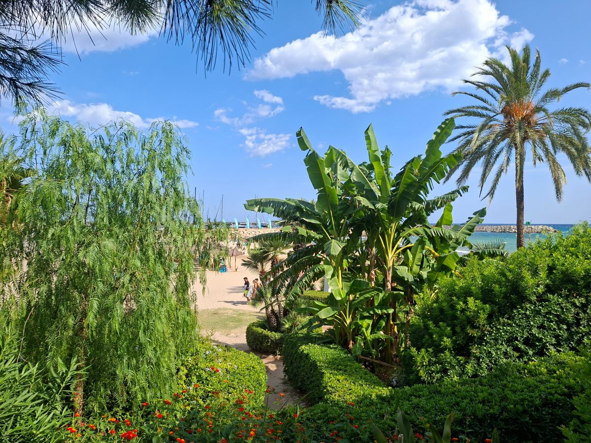 Exuberante vegetación del Roc de Sant Caietà