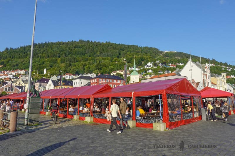 mercado pescado que ver en bergen