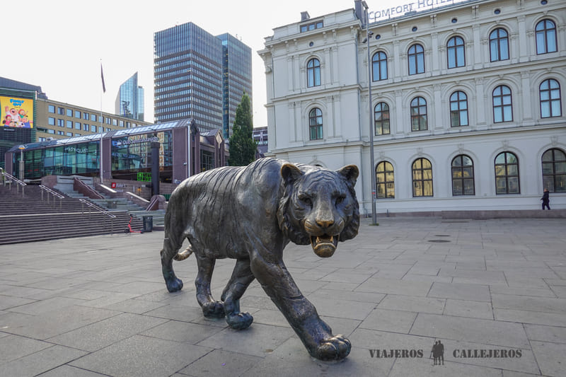 tigre que ver en oslo