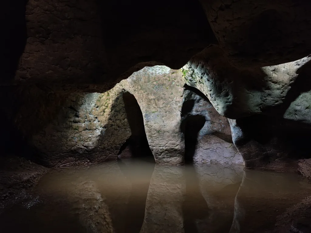 Cueva del Toll. Cortesía del Museu de Moià.