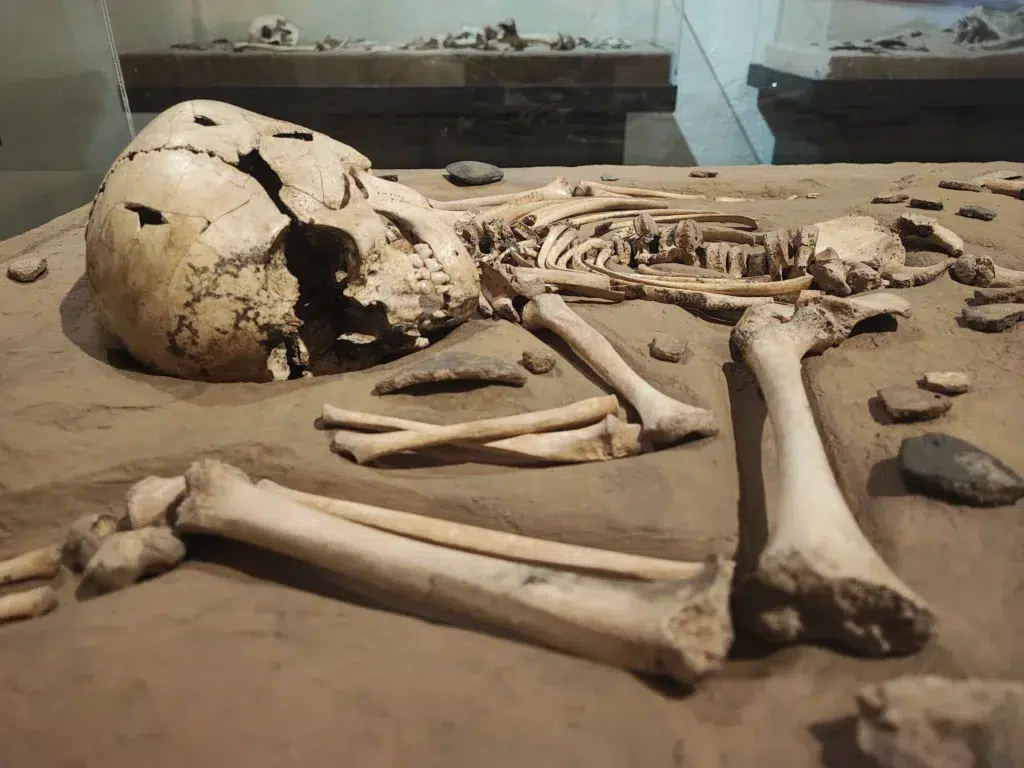 Cortesía del Museo de Moià.