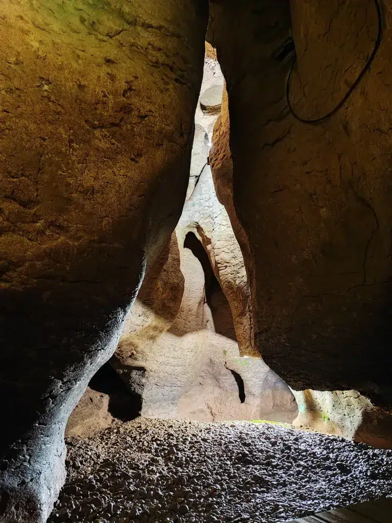 Cueva del Toll. Cortesía del Museu de Moià.