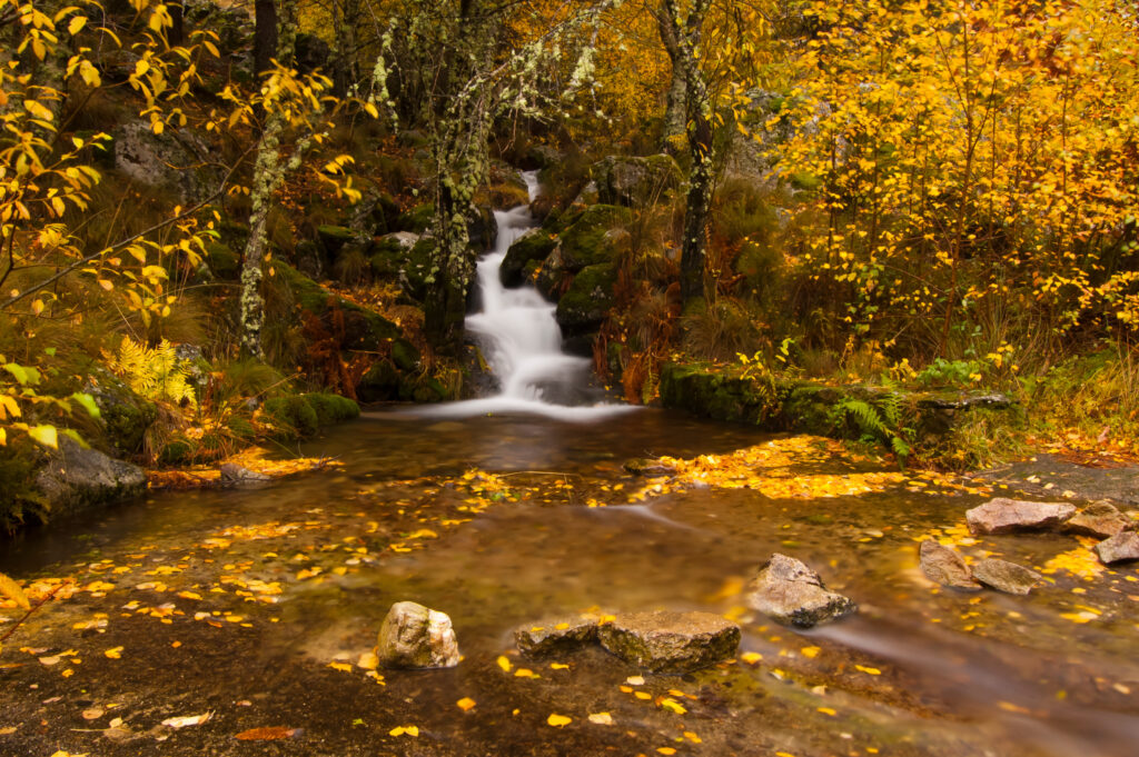 Otoño en el Valle del Ambroz (Cáceres).