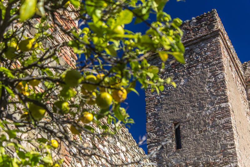 Que Ver en Malaga en un dia Alcazaba Torre Homenaje
