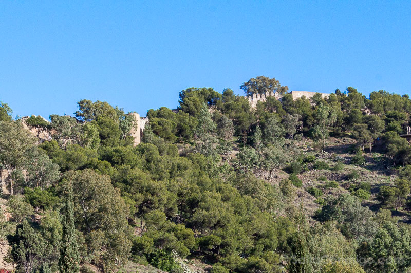 Que Ver en Malaga en un dia Castillo Gibralfaro