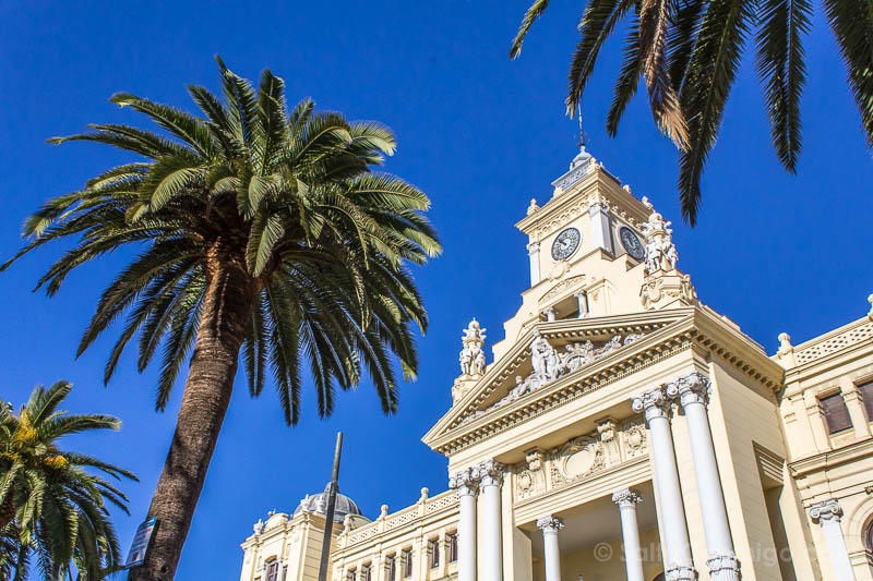 Que Ver en Malaga en un dia Paseo del Parque Ayuntamiento