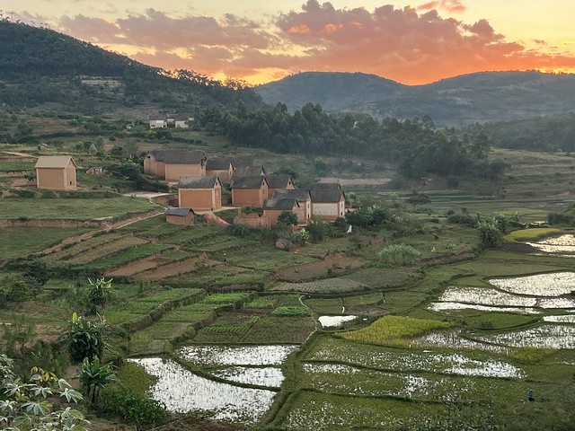 Arrozales en la tierra de los betsileo en Madagascar