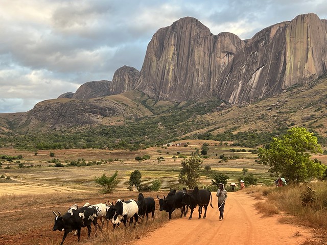 Escena rural en el Valle de Tsaranoro (Madagascar)