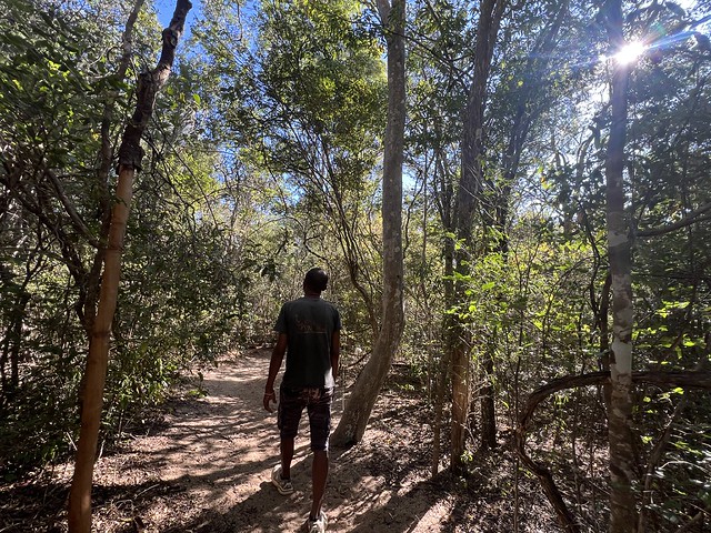 Parque Zombitse en Madagascar