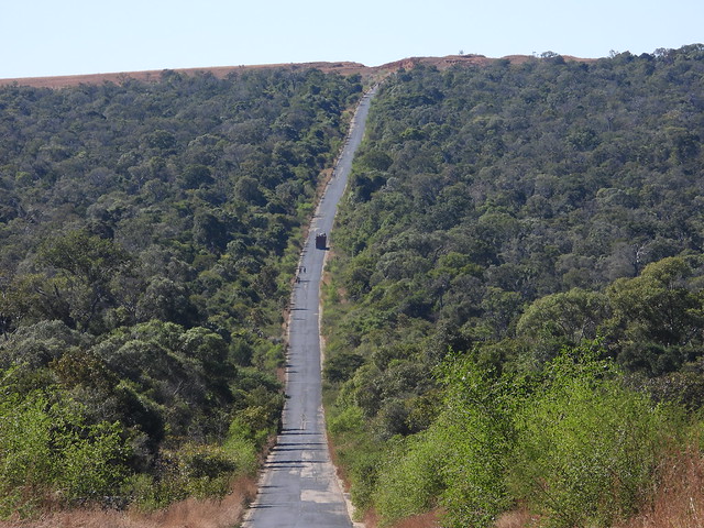 Carretera que atraviesa el Bosque de Zombitse en Madagascar