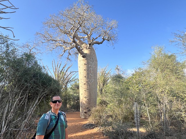 Sele en Reniala (Madagascar). De fondo un baobab