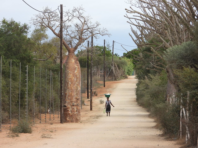 Carretera en Madagascar