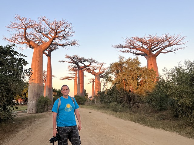 Sele en la Avenida de los Baobabs (Madagascar)