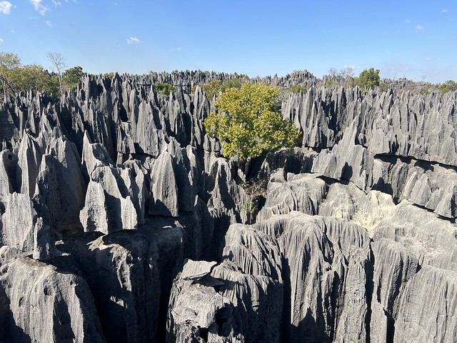 Gran Tsingy de Bemaraha en Madagascar