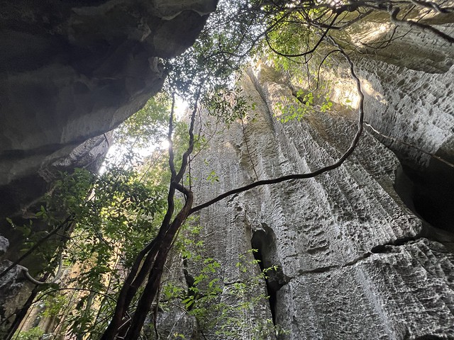 Interior del Gran Tsingy de Bemaraha en Madagascar