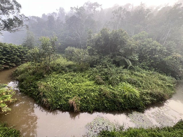 Vistas desde el hotel Feon' ny Ala en Andasibe (Madagascar)